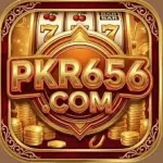 pkr656
